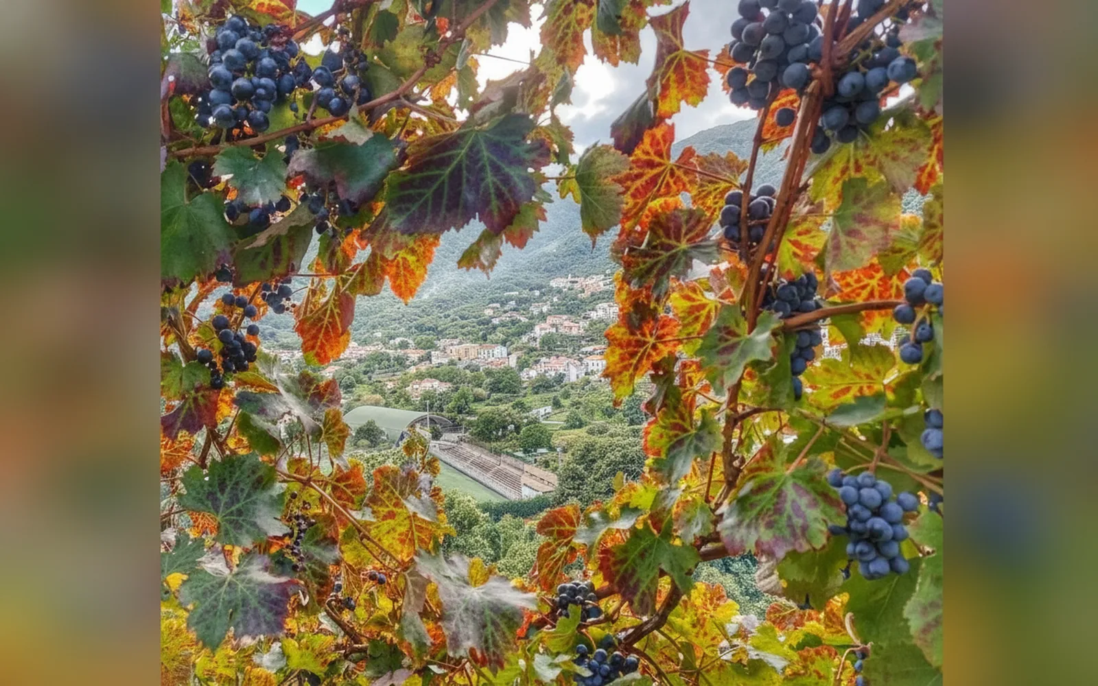 Esterni di Villa Bianca Tramonti, Tramonti (Salerno) (Campania) (foto 33)